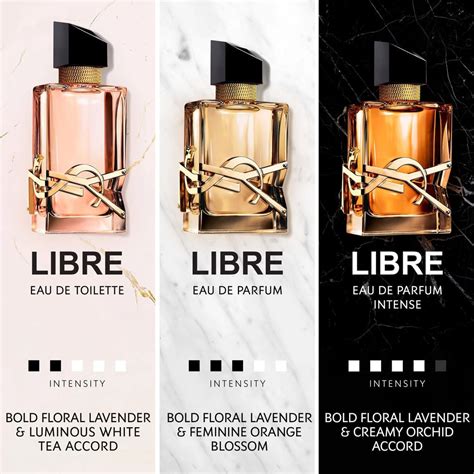 a que huele el perfume libre de yves saint laurent|perfume ysl gratis precio.